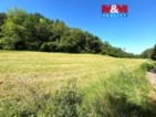 Prodej pole a lesa, 7613 m², Zbrašín