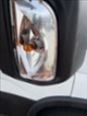 Iveco, skříň
