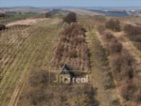 Prodej pozemku 4 065 m² - Brumovice.Ve výhradním