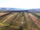 Prodej pozemku 4 065 m² - Brumovice.Ve výhradním