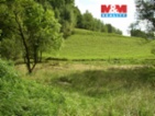 Prodej louky, 2749 m², Janův Důl