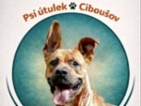 Pes z útulku