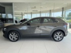Mazda CX-30, 2,0i SkyActiv*132kW*Max.Výbava, MPV,