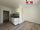 Pronájem bytu 1+1, 42 m², Karviná - Ráj, ul. Borovského