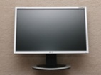 Monitor 19" LG Flatron L194WT