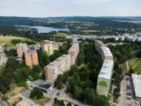 Prodej bytu 2+1, Ečerova, Brno