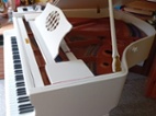 Klavír Petrof model V (160cm)