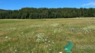 Prodej, pozemky o rozloze cca 79.000 m2 +
