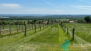 Prodej, pozemky o rozloze cca 79.000 m2 +