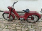 Jawetta 551