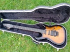 Carvin DC 135
