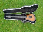 Carvin DC 135