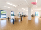 Prodej obchodního objektu, 1200 m², Letohrad, ul. Petříkov
