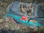 Bosch Rotak 36