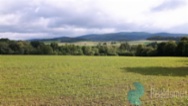 Prodej, pozemek, Kájov, 42414 m2.REALDOMUS Vám