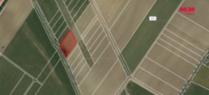 Prodej pole 4410 m², Šumice u Pohořelic