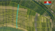 Prodej vinice, 3677 m², Morkůvky