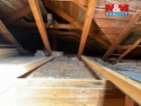 Prodej rodinného domu, 271 m², Sušice, ul. Osvobození
