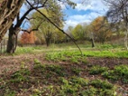 Netvořice- 16000 m2 s možností investic