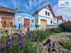 Prodej, vinný sklep s apartmánem, 1