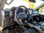 Ford F-150, 3,5 Platinum Hybrid 360 kamera