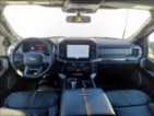 Ford F-150, 3,5 Platinum Hybrid 360 kamera