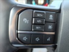 Ford F-150, 3,5 Platinum Hybrid 360 kamera