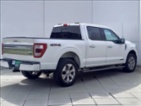 Ford F-150, 3,5 Platinum Hybrid 360 kamera