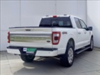 Ford F-150, 3,5 Platinum Hybrid 360 kamera