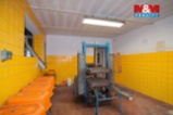 Prodej výrobního objektu, 320 m², Žlutice