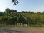 Prodej pozemku 3 399 m² - Mutěnice.Ve výhradním