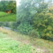 Prodej zahrady 876, Vejprty - Nové Zvolání