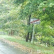 Prodej zahrady 876, Vejprty - Nové Zvolání