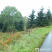 Prodej zahrady 876, Vejprty - Nové Zvolání