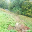Prodej zahrady 876, Vejprty - Nové Zvolání