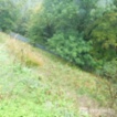 Prodej zahrady 876, Vejprty - Nové Zvolání