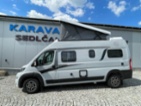Knaus, nafta