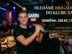 HLEDÁM BRIGÁDNÍKA NA VÝPOMOC 250KČ/h