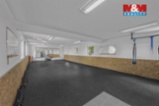Prodej obchodního objektu, 195 m², ul. Seydlerova
