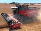 Massey Ferguson Delta 9380 kombajn lišta řepka,