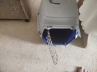 Přenoska  pro kočičky