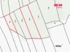 Prodej lesa, 3111 m², Železné