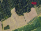 Prodej lesa, 3111 m², Železné