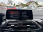 BMW X3, 3.0d X-Drive Ad.LED Webasto, SUV, nafta