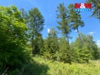 Prodej lesa v Kropáčově Vrutici