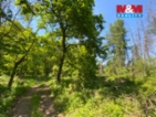 Prodej lesa v Kropáčově Vrutici