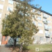 Byt 2+1 52, Litvínov - Horní Litvínov