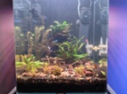 Akvarium