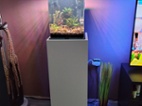 Akvarium