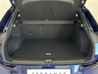Cupra Terramar, VZ, SUV, benzin